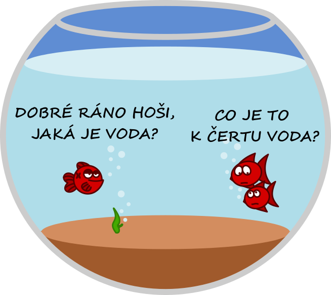 Kulturní rozdíly v globálně propojeném světě