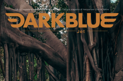 Dobré řešení se samo neprodá