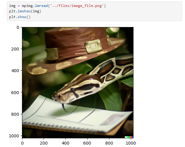 Jupyter Notebook – ukázka zobrazení obrázku